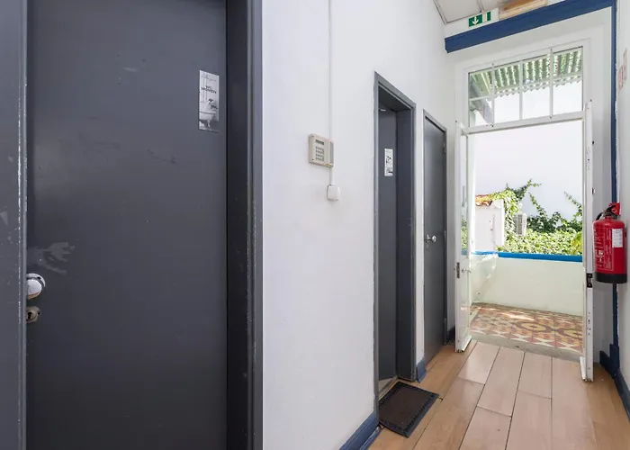 Le Penguin Hostel